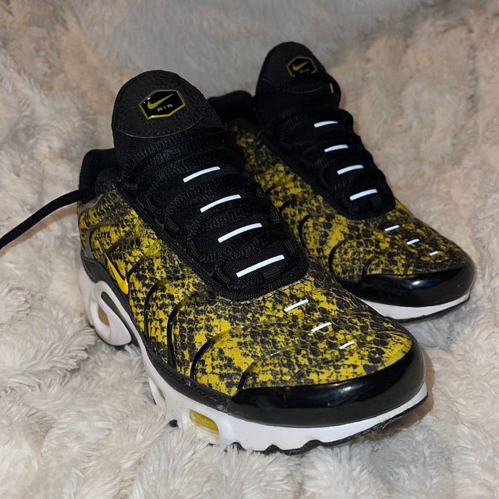 Nike Air Max Sneakers